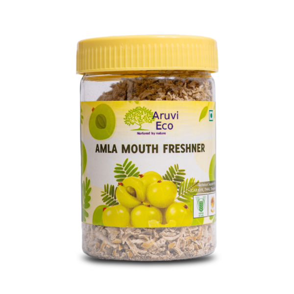 Organic Amla Mouth Freshener 60Gms - 100% Natural Dried Amla, Directly Produced from Our Garden, No Artificial Flavors or Preservatives